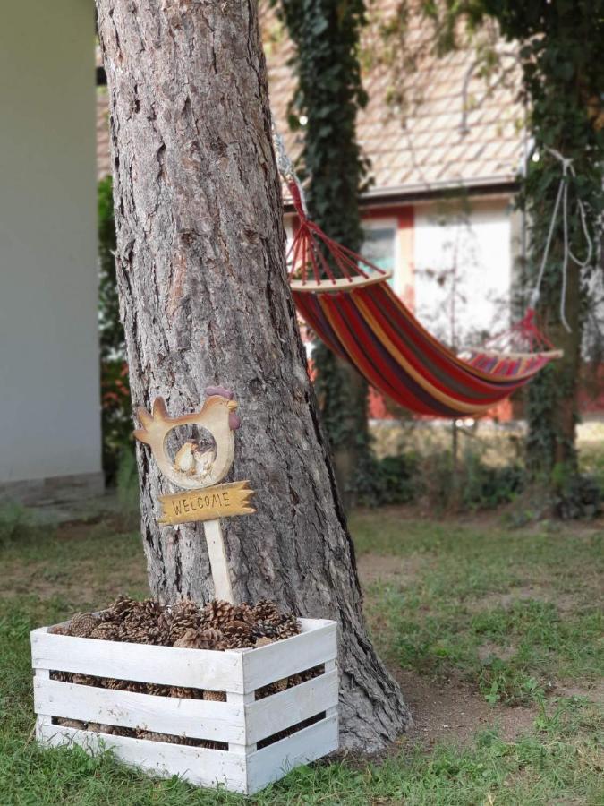Appartamento Palicka Oaza 155 Esterno foto